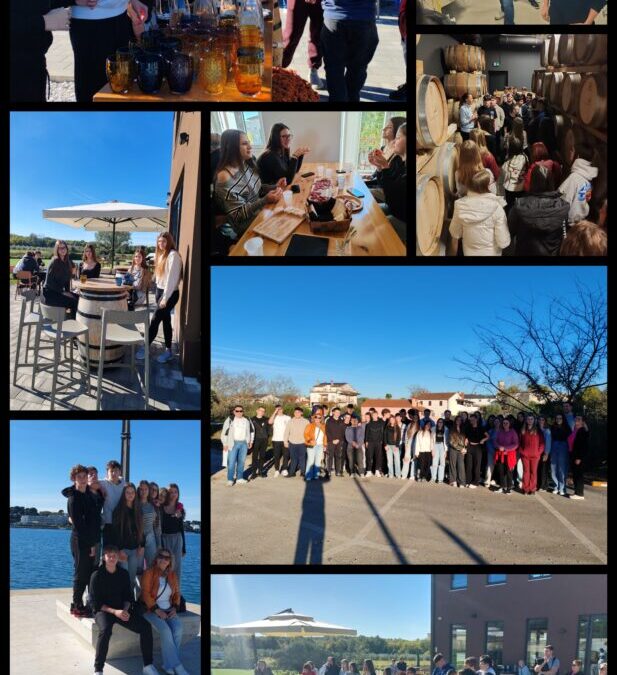 Izvještaj sa terenske nastave – Istra