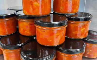 PROJKET Radimo i učimo 2025./2026.