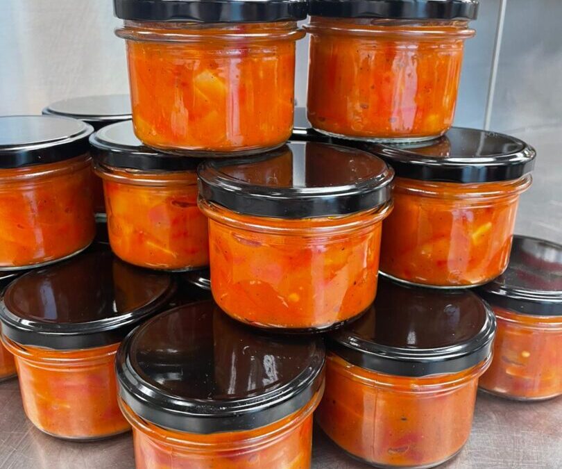 PROJKET Radimo i učimo 2025./2026.