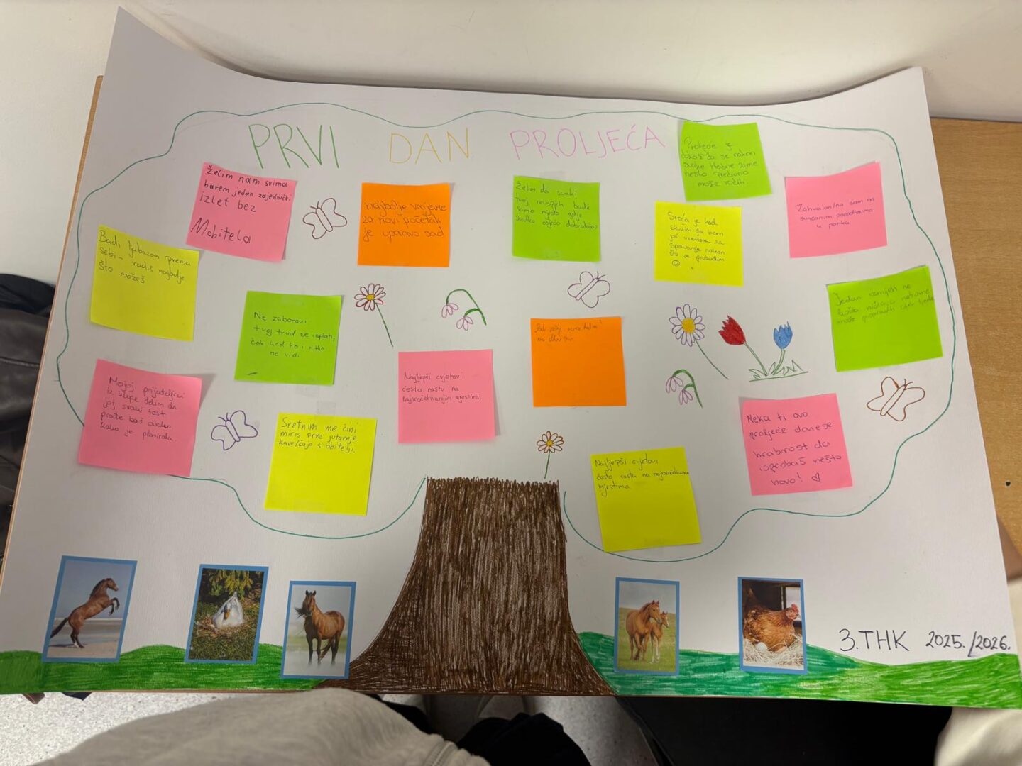 WhatsApp Image 2026-03-17 at 19.03.16